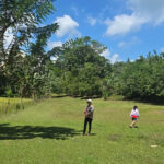 Nasib Maluku di Tengah Cengkraman “Diet” Anggaran Pusat