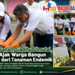 Gerakan Tanam Gadihu Dimulai, Wali Kota Ambon Ajak Warga Bangun Kota Hijau dari Tanaman Endemik
