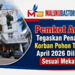 Pemkot Ambon Tegaskan Penanganan Korban Pohon Tumbang April 2026 Dilakukan Sesuai Mekanisme